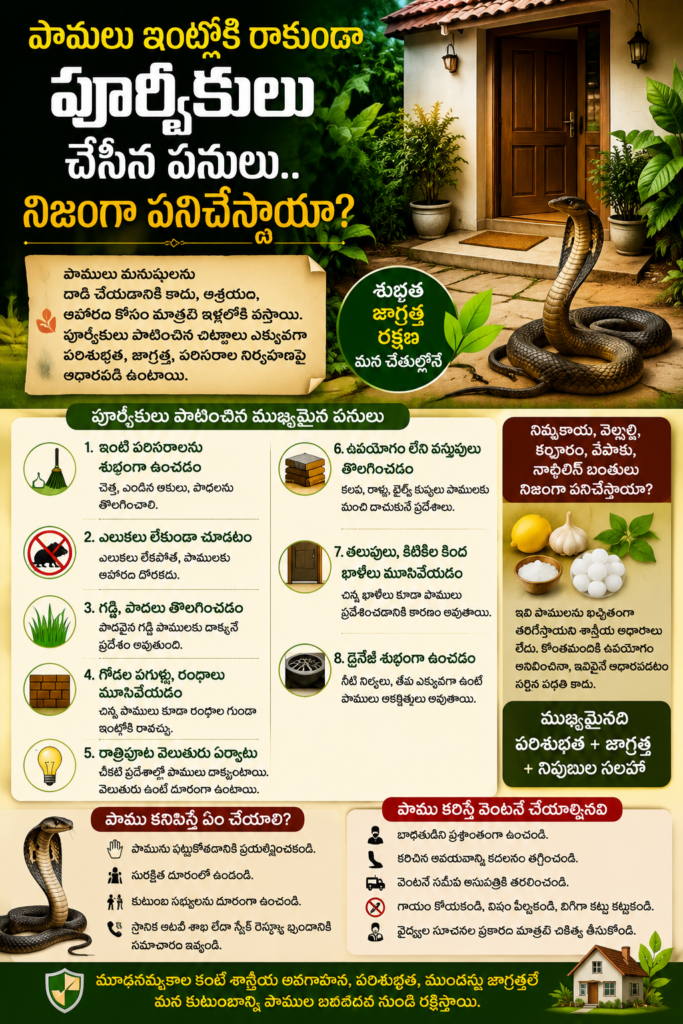 పాములు ఇంట్లోకి రాకుండా పూర్వీకులు చేసిన పనులు.. నిజంగా పనిచేస్తాయా?