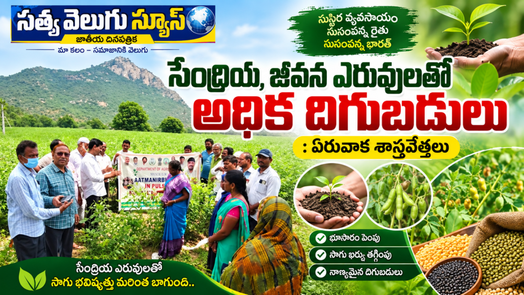 సేంద్రియ, జీవన ఎరువులతో అధిక దిగుబడులు: ఏరువాక శాస్త్రవేత్తలు