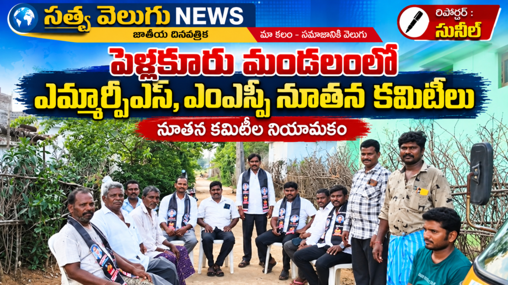 పెళ్లకూరు మండలంలో ఎమ్మార్పీఎస్, ఎంఎస్పీ నూతన కమిటీలు