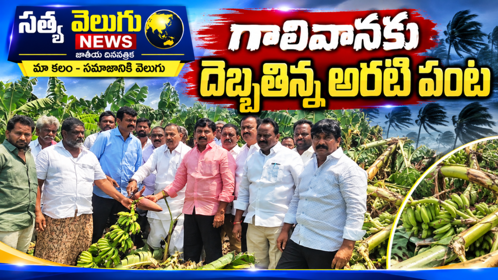 గాలివానకు దెబ్బతిన్న అరటి పంట