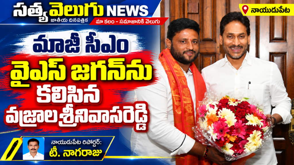 మాజీ సీఎం వైఎస్ జగన్‌ను కలిసిన వజ్రాల శ్రీనివాసరెడ్డి