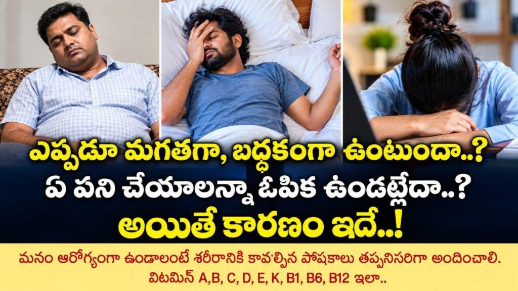 ఎప్పుడూ మగతగా, బద్ధకంగా ఉంటుందా? కారణం ఏదైనా విటమిన్ లోపం కావచ్చా?