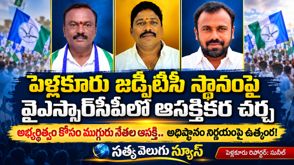 పెళ్లకూరు జడ్పీటీసీ స్థానంపై వైఎస్సార్‌సీపీలో ఆసక్తికర చర్చ