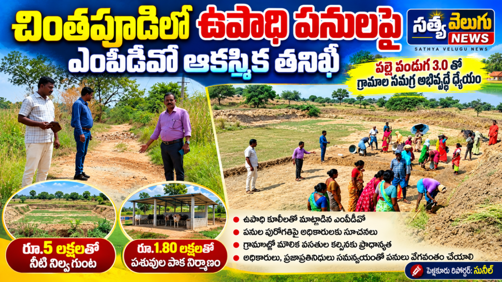 చింతపూడిలో ఉపాధి పనుల పరిశీలన