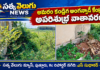అమరం కండ్రిగ అంగన్వాడీ కేంద్రంలో అపరిశుభ్ర వాతావరణం!
